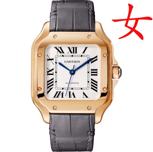 Replica Cartier Santos WGSA0012 Watch
